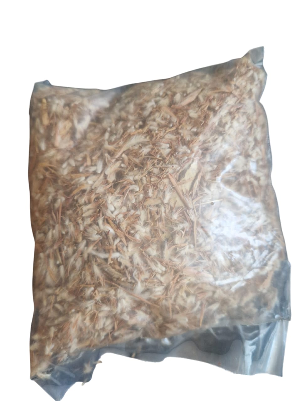 Pollen de palmier vendu par 2